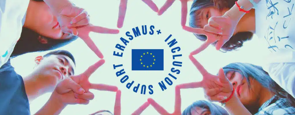 What Is Erasmus+ Inclusion Support for Organisations