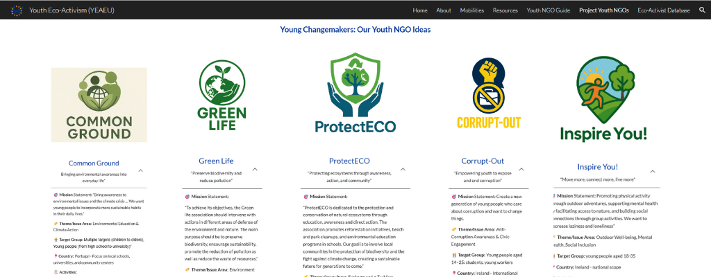 How to set up an NGO in Ireland